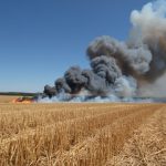 Lángok csaptak fel Budapesten: kigyulladt az aljnövényzet Zugló és Rákospalota határán