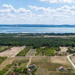 Súlyos a helyzet: eltűnt 300 millió köbméter víz a Balatonból