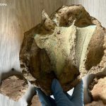 Bronzkori kincsekkel próbált kereskedni egy ungvári férfi