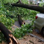 3 milliárd forinttal nőttek a viharkárok tavalyhoz képest