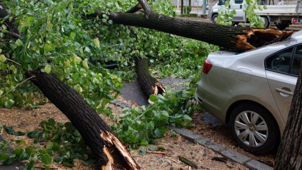 3 milliárd forinttal nőttek a viharkárok tavalyhoz képest