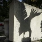 Egy év alatt kétszeresére drágultak a virágok a temetőkben