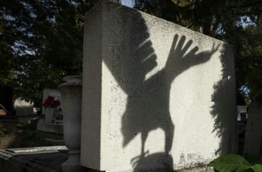 Egy év alatt kétszeresére drágultak a virágok a temetőkben