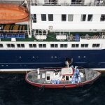 A WHO üzeni, meg lehet nyugodni, nem indul világjárvány a hantavírusos hajóról